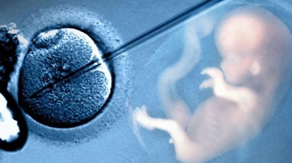 Το θαύμα του IVF: προετοιμασία για εμβρυομεταφορά με κατεψυγμένα ωάρια
